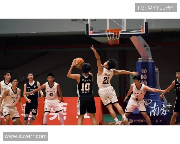 前进之前鹰与海尔蒙特的激烈对决展现篮球魅力与团队精神