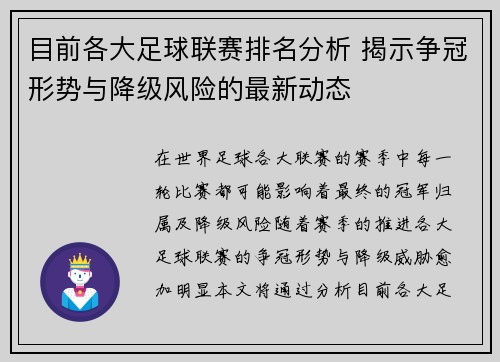 目前各大足球联赛排名分析 揭示争冠形势与降级风险的最新动态