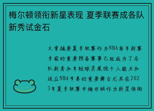 梅尔顿领衔新星表现 夏季联赛成各队新秀试金石